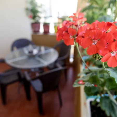 Adriatic Albania * Durres